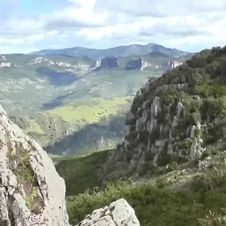 Domus Ligas Àrbatax