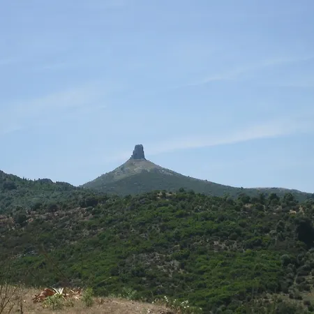 Domus Ligas Nyaraló *
